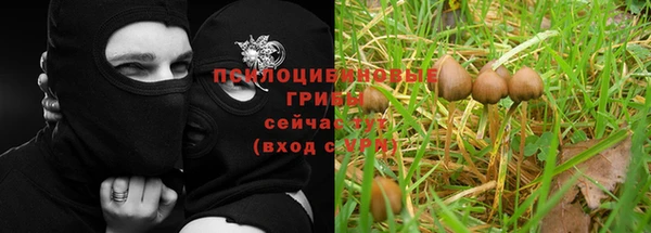Альфа ПВП Балабаново