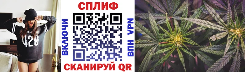 Бошки Шишки Amnesia  Сухиничи 